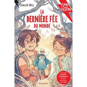 david-bry.la-dernière-fée-du-monde.jpg